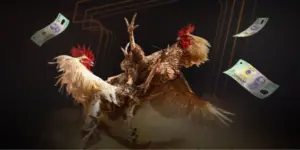 Đá gà cựa dao NBET – Đấu trường đỉnh cao cho người mê chiến kê